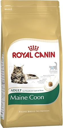 royal canin maine coon 10kg