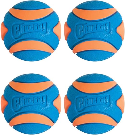 chuckit ultra squeaker ball