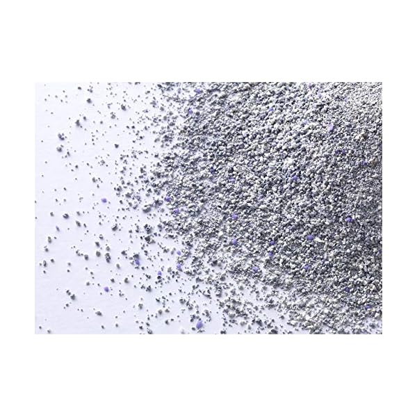 Ever Clean Lettiera Agglomerante Lavanda, 10.Litri, Profumata