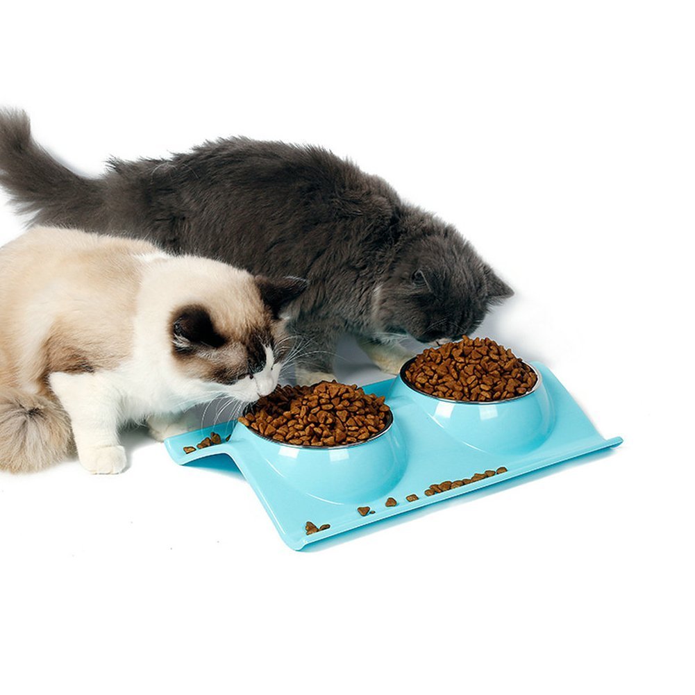 Pet Bowl Double Dog Cat Stainless Steel Bowls with No-Spill Non-Skid Mat