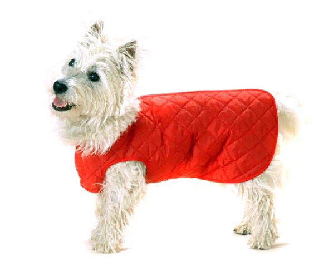 Cosipet Quilted Step in Suit, 14-inch/ 35 cm, Red