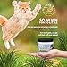 Novity Pet Glucosamine | Chondroitin | MSM | Spirulina | for Dogs and Cats | 100% Natural and Organic Hip and Joint Supplement for Dogs and Cats | Made in The USA | 6 oz Powder