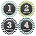 Monthly Baby Stickers Baby Boy Month 1-12 Milestone Age- Onesie Sticker