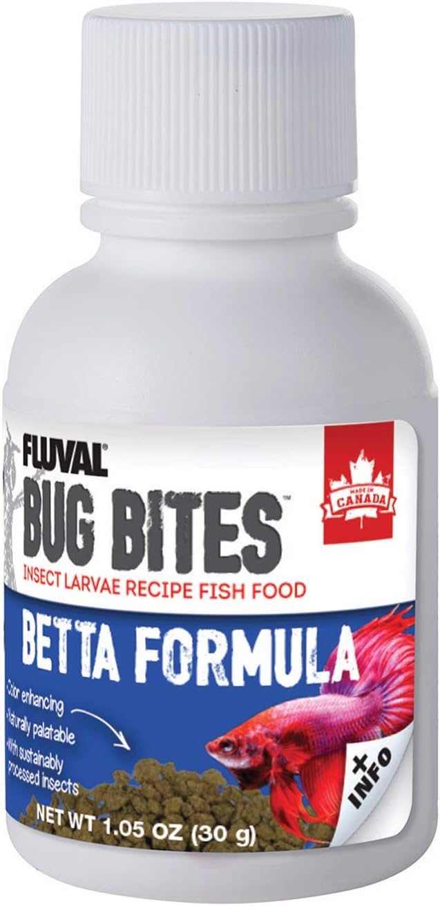 training leash petsmart