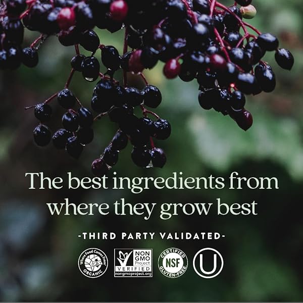 NEW CHAPTER WOMEN’S MULTIVITAMIN FOR IMMUNE, BEAUTY + ENERGY SUPPORT WITH 20+ NUTRIENTS — EVERY WOMAN’S ONE DAILY, GENTLE ON THE STOMACH, 96 COUNT