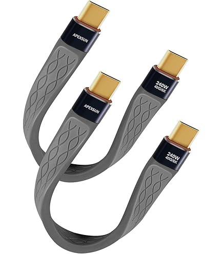 QIANRENON Câble Court USB C Vers USB 3.1 10 Gbit/s Type C Mâle Vers USB
