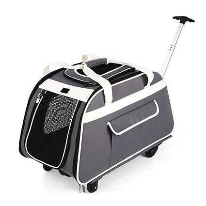 Amazoncom Pet Backpack Dog Cat Pet Travel Carrier