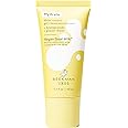 Beekman 1802 Shine Control Gel Cream Face Moisturizer - Non-Comedogenic - 1.7 fl oz - Controls Shine - With BioMilk, 1% Heptapeptide & Glacier Water - Good for Sensitive Skin