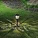 6 Pack Solar Lights Outdoor Garden, Solar Pathway Landscape Lights Supper Bright Waterproof and Corrosion-Resistant, Powered Solar Outdoor Lights for Yard Patio Walkway Driveway Sidewalk Lawn