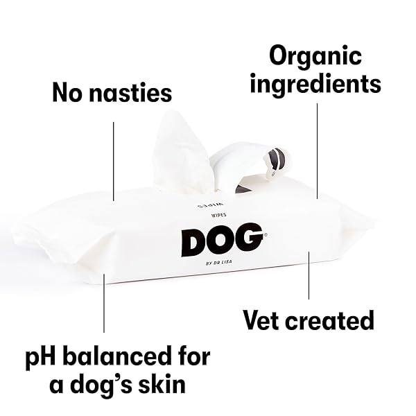 CAT BY DR LISA – CAT WIPES – PLANT-BASED, NATURAL BATHING WIPES FOR CATS – MADE FROM 100% COMPOSTABLE BAMBOO – VET-CREATED – VEGAN – NON-TOXIC – MADE IN NEW ZEALAND (80 PACK)
