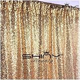 ShiDianYi 4FTX6FT-Gold-SEQUIN Photo