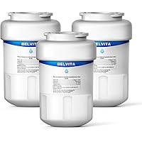 BELVITA Refrigerator Water Filter Replacement for GE MWF, MWFINT, SmartWater, MWFP, MWFA, GWF, GWF01,GWF06,GWFA,HWFA,HDX FMG-
