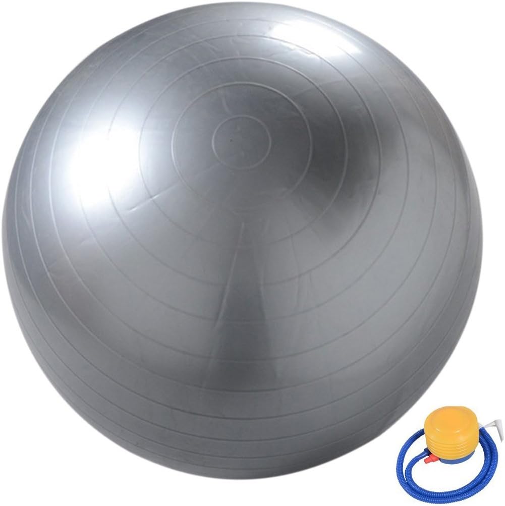 Cexin 55cm / 65cm / 75cm / 85cm Exercise Ball Fitness Ball Aka Yoga Ball Swiss Ball with Hand Pump