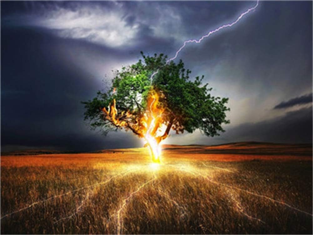 WOWDECOR Paint by Numbers for Adults Beginner Kids Number Painting, Lightning Tree, Nature Scenes Landscape 40x50 cm