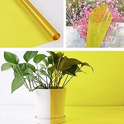 JISYIBOFF Window Decorative Film Transparent