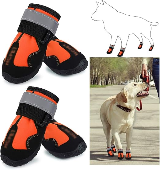 dog rain boots amazon