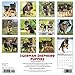 Just German Shepherd Puppies 2019 Wall Calendar (Dog Breed Calendar)