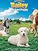 Adventures of Bailey: The Lost Puppy
