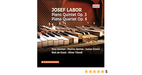 Labor Piano Quintet In E Minor Op 3 Piano Quartet In C Major Op 6 By Justus Grimm Nina Karmon Oliver Triendl And Pauline Sachse On Amazon Music Amazon Com