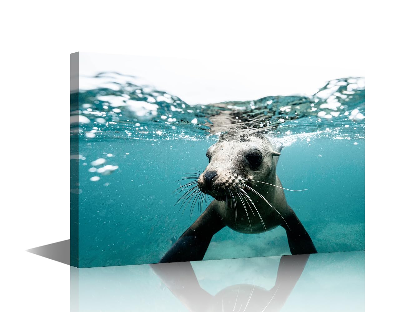 TISHIRON Ocean Animals Canvas Wall Art Sea lions Under the Sea Posters & Prints Artwork 1 Panel Contemporary Home Decor Stretched Canvas Picture for Living Room Bedroom Home Office Decor, 24x16in