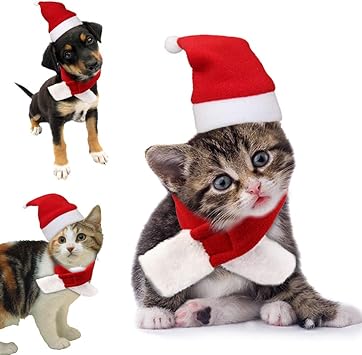 cat christmas outfits uk