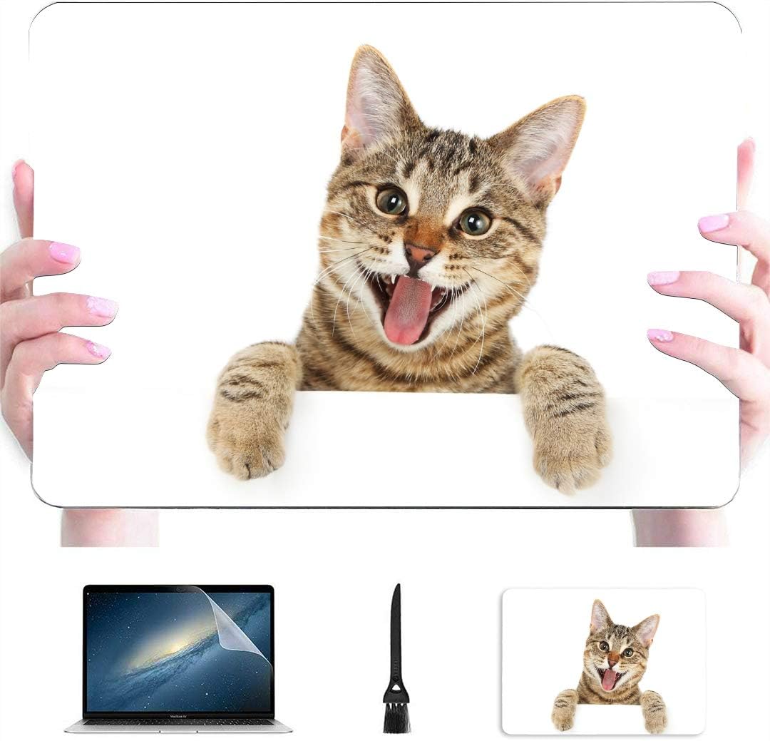 bengal cat accessories