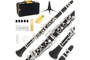 Rsasi Bb Clarinet - Band Clarinet for Beginner, with, Mouthpiece, Hard Case Bag and Cleaning Kit(Black)