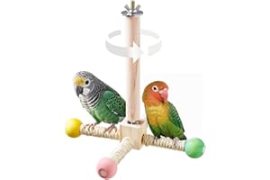 Bird Stand Perch Toy, Interactive Spinning Parakeet Toys, Wooden Exercise Wheel Parrot Toys, Enrichment Cockatiel Toys for Ca