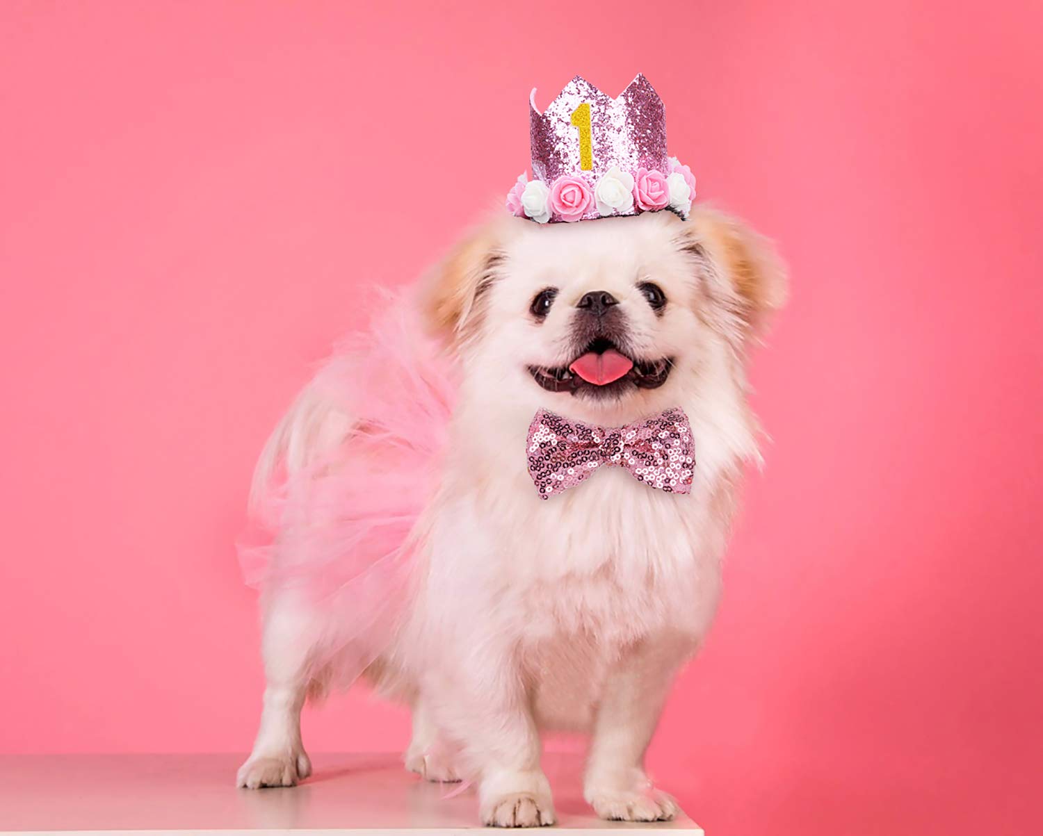 Legendog Dog Birthday Party Supplies, Dog Birthday Hat with Letters-Dog Tutu Skirt-Dog Bowtie, Dog Birthday Party Decorations