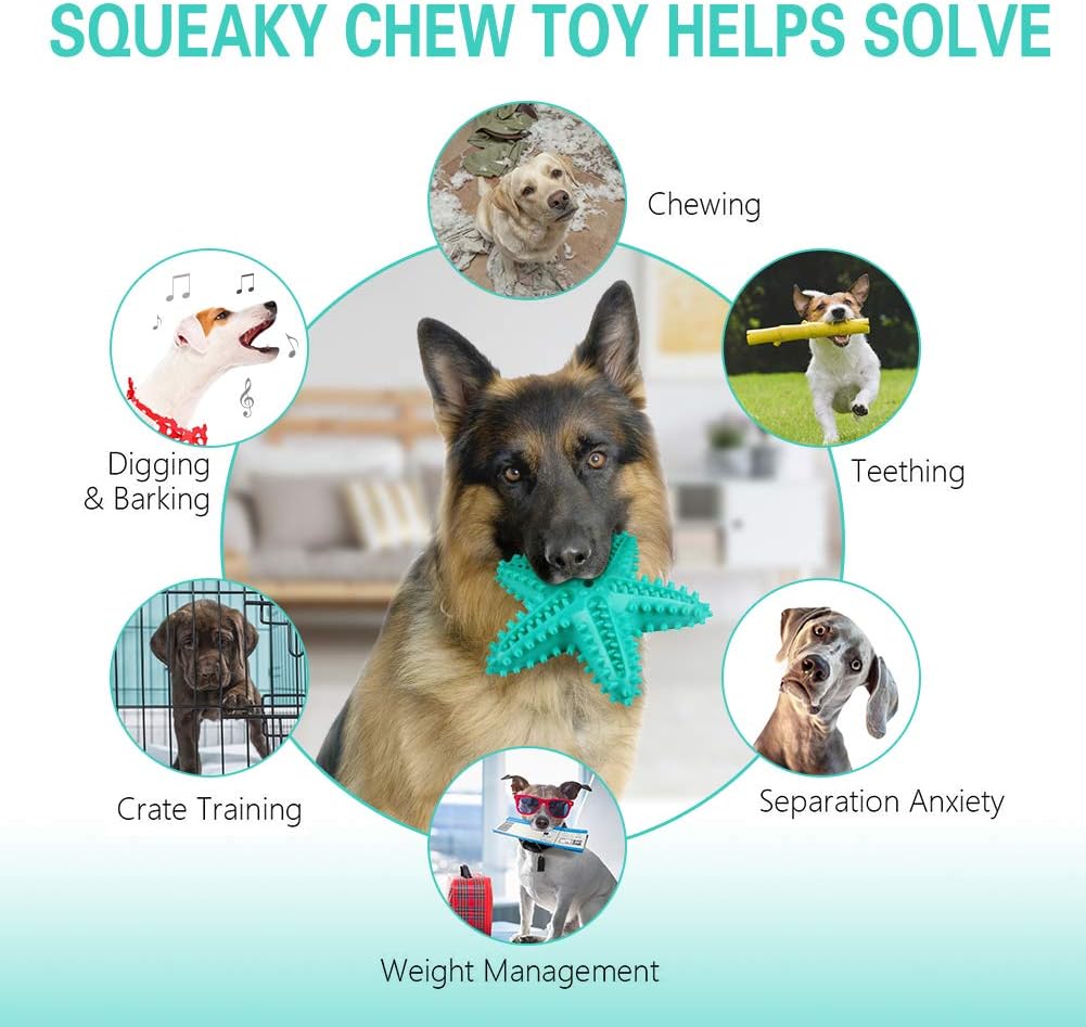La Desire Dog Chew Toys Teeth Cleaning Toothbrush Squeaky Toy - Image 4