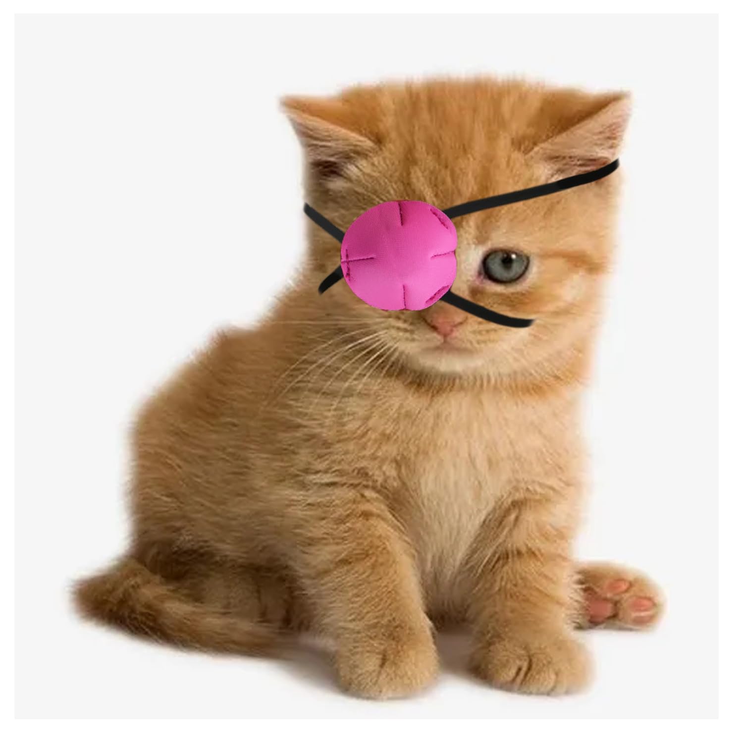Photo 1 of vomvomp 3 Pack Cat Eye Patch for Cats Missing Eyes Single Eyepatch Protective Eye Cover for Small Dogs Cats Eye Injuries After Surgery Wounds Dogs Missing Eye Shield Small Pets Patches