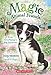 Evie Scruffypup's Big Surprise (Magic Animal Friends #10) (1)