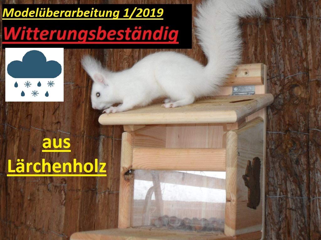 Am Besten Bewertete Produkte In Der Kategorie Eichhornchen Amazon De