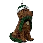 Foco NFL Philadelphia Eagles Retro Throwback Ornament Dog Team Colors, 3 1/2"