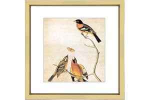 BKABOT 5x5 Picture Frame, Brass Metal Photo Frames with HD Glass, Fits 4x4 with Mat or 5 x 5 without Mat, Display for Wall and Table, 1 Pack