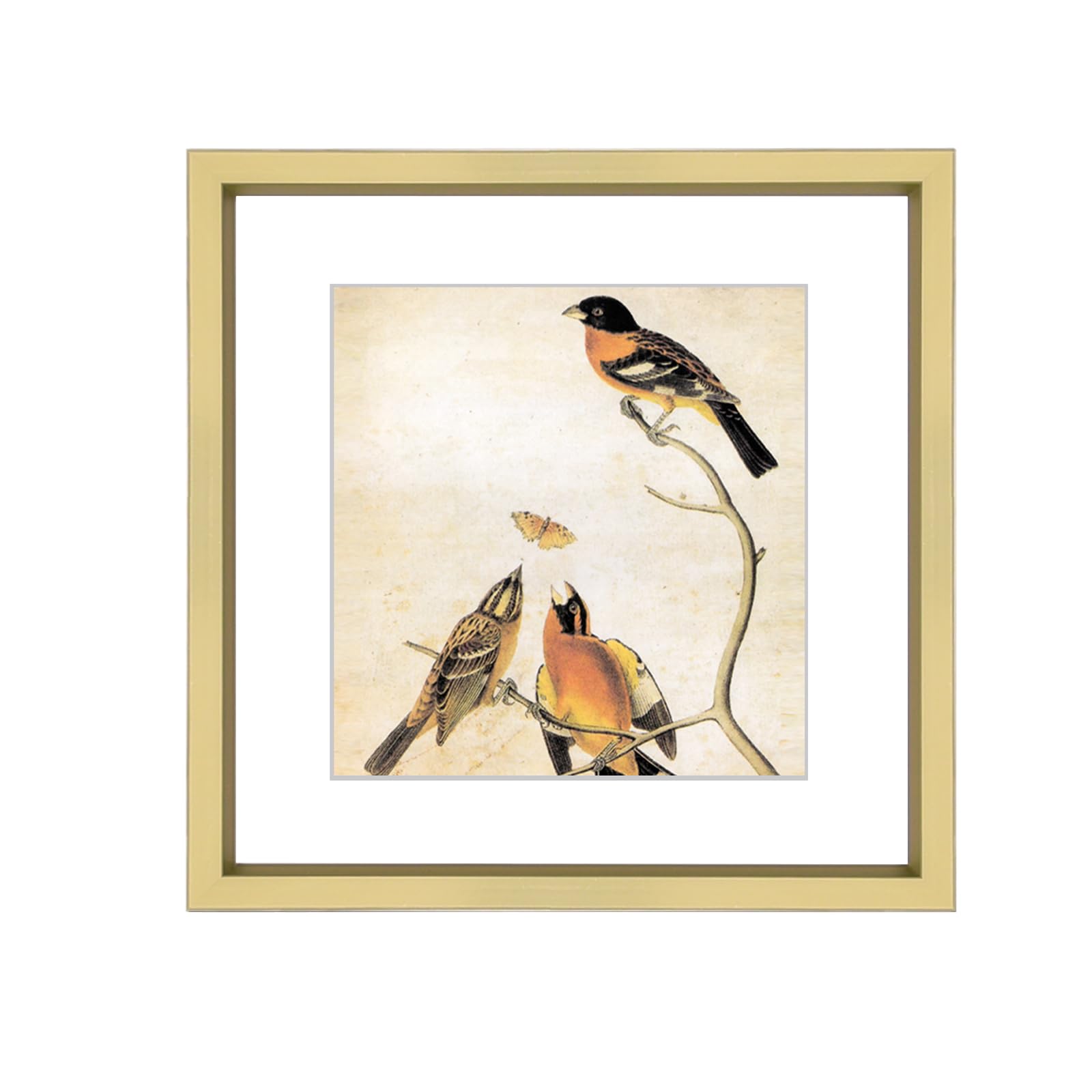 Photo 1 of BKABOT 4x4 Picture Frame, Brass Metal Photo Frames with HD Glass, Fits 3x3 with Mat or 4 x 4 without Mat, Display for Wall and Table, 1 Pack