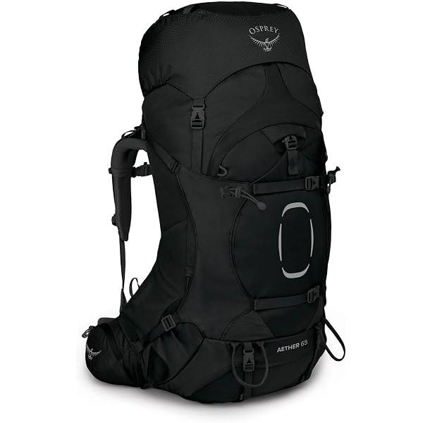 best patagonia bag for ultimate Patagonia Black Hole Pack