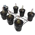 RDWC Top Feed Drip Hydroponics Systems 6 Buckets + Reservoir, Recirculating Deep Water Culture Hydroponic Bucket System, 5 Gallon Hydroponics Grow System Kit with Water Pump, Air Pump