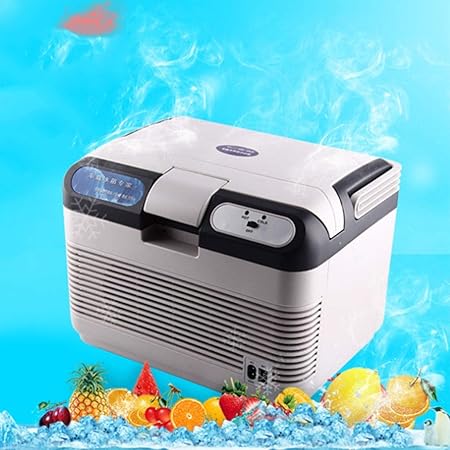 WERT Mini Refrigerador Y Calentador Portátil De Coche para Coche ...