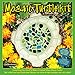 Midwest Products Mosaic Turtle Stepping Stone Kit