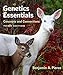 Genetics Essentials: Concepts and Connections