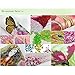 5D DIY Diamond Painting,Homedeco Franterd Cross Stitch Kit,Crystals Embroidery Kits Arts, Crafts & Sewing Cross Stitch- Home Decor Craft (3040cm, Jesus)
