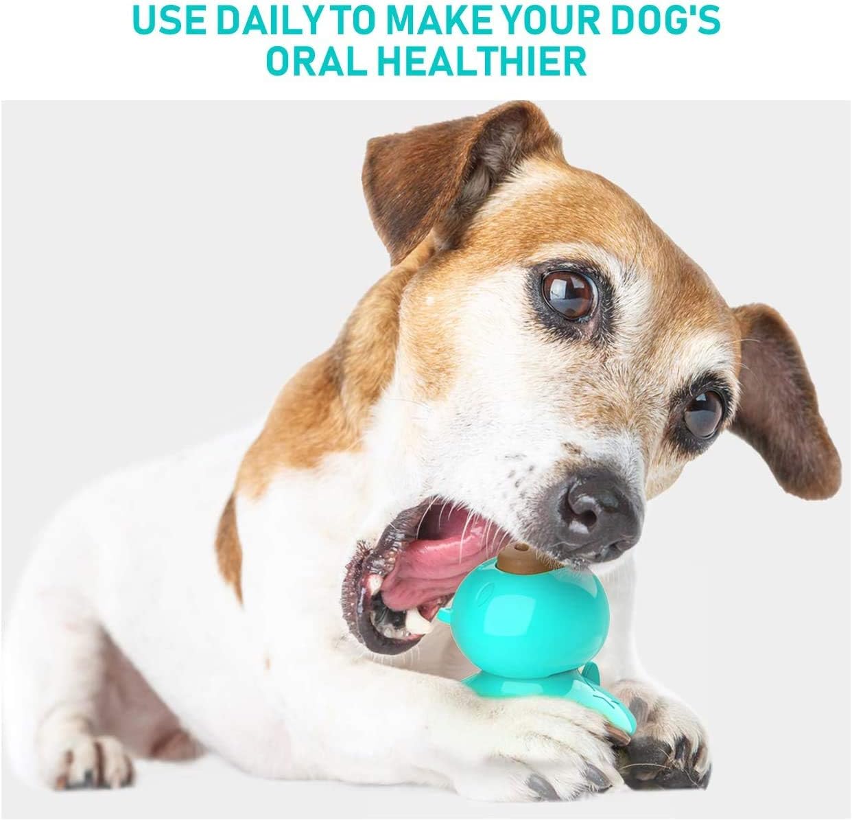 Xnelly Dog Chew Toy, Suction Cup Dog Toy, Dog Lick Molar Toys Slow Feeder for Dog Bathing, Grooming, and Dog Training with 3 Pcs Dog Treats - Image 3