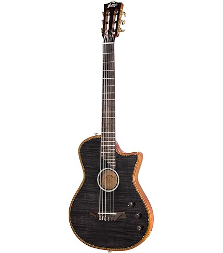 Amazon.com: Godin Multiac Mundial Nylon Acoustic-electric Guitar