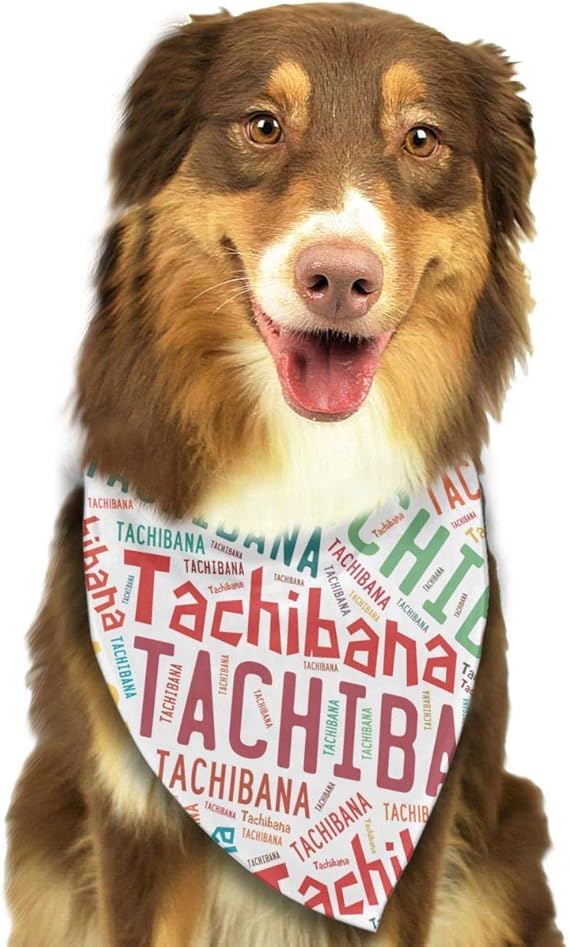 Amazon Co Jp ペット用 バンダナ 日本の姓 Tachibana 橘 猫 犬 ペット ネッカチーフ エプロン 首輪 ドッグ 三角 かわいい One Size White 服 ファッション小物