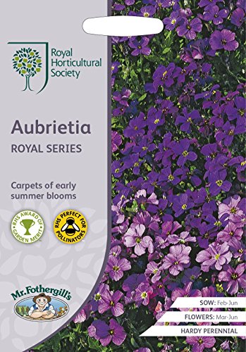 Mr Fothergills - Flower - RHS Aubrieta Royal Series - 400 Seeds