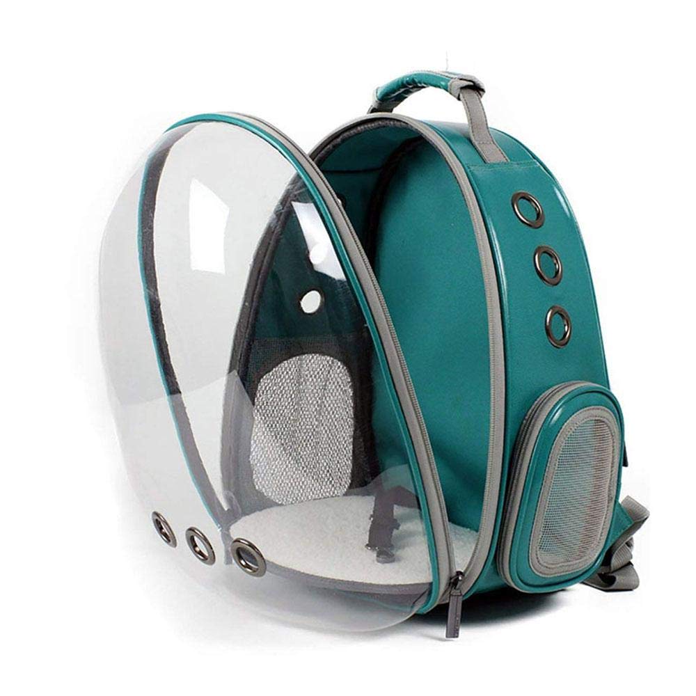 transparent pet carrier