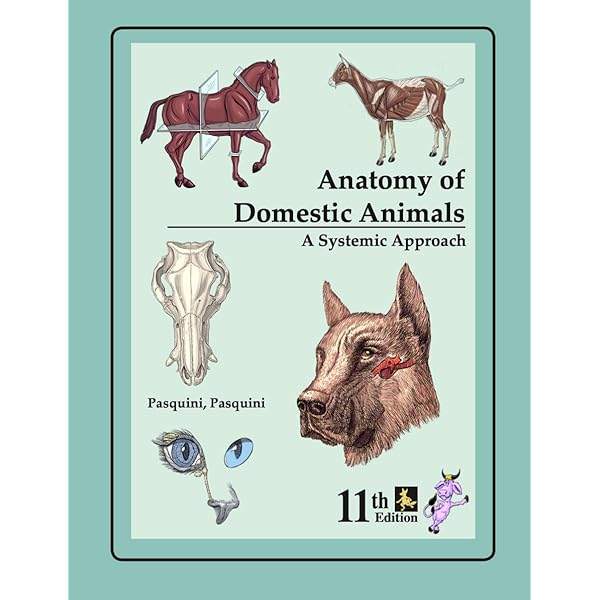 健康・医学 Veterinary Anatomy of Domestic Animals, Anatomy of Domestic Animals : Systemic &_Regional Approach 11TH