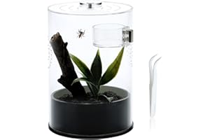 LYL LEYOULAND Jumping Spider Enclosure Starter Kit with Feeding Dish, Tarantula Terrariums Cribs for Mantis Snails Ladybugs Insect, Micro Habitat Cage Accessories