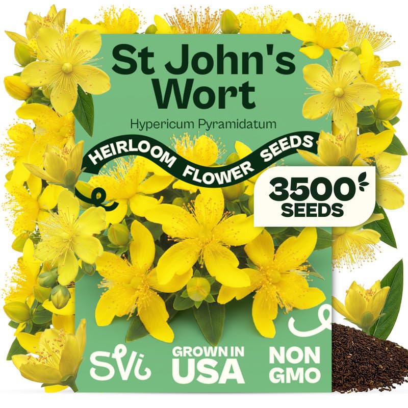SVI 3500 St Johns Wort Seeds